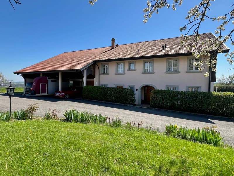 Ferme  équestre rénovée de 220m² habitables + paddock (4)