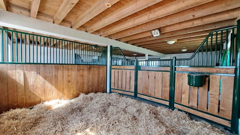 Ferme  équestre rénovée de 220m² habitables + paddock (5)