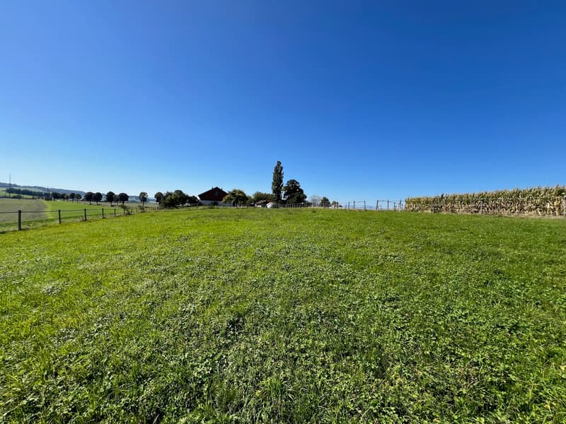 Ferme  équestre rénovée de 220m² habitables + paddock (13)