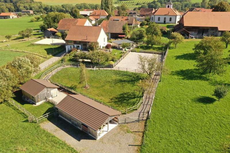 Ferme  exceptionnelle et totale rénovée, avec charges négative (13)