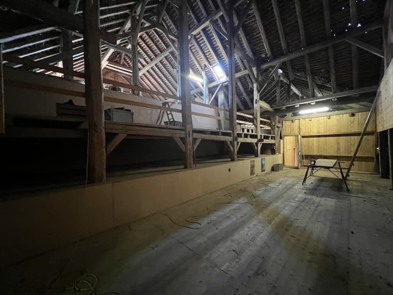 Impressionnante ferme (12)