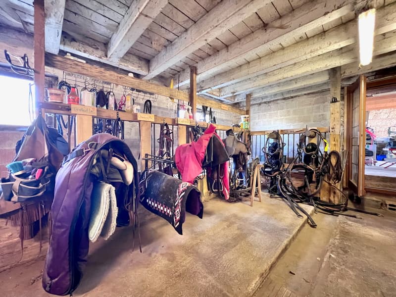Ancien corps de ferme transformé en ferme équestre (7)
