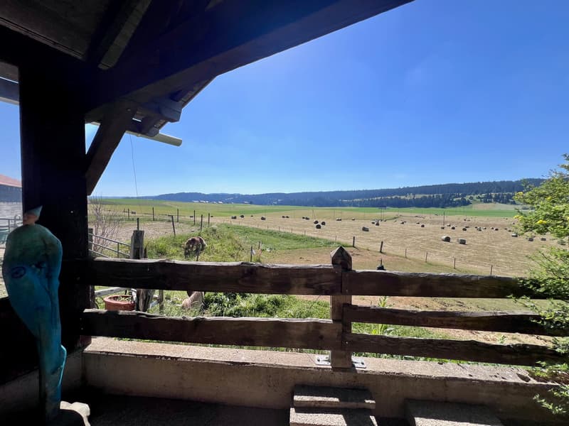 Ancien corps de ferme transformé en ferme équestre (3)