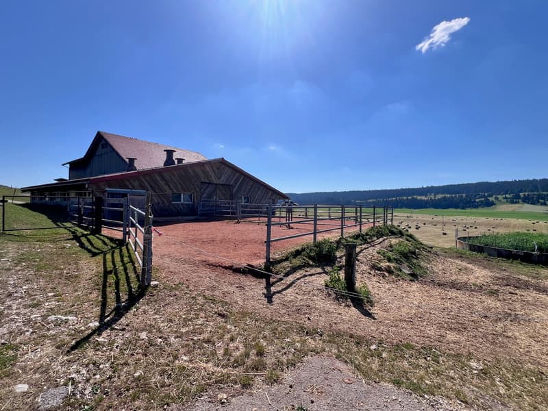 Ancien corps de ferme transformé en ferme équestre (2)