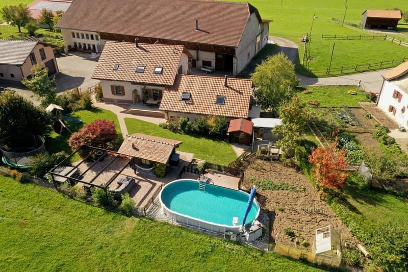 Villa de 6,5 pièces, grand jardin, piscine,... (1)