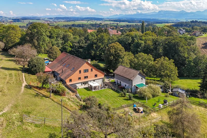 Magnifique ferme rénovée de 3 logements et d'une écurie (4)