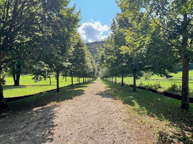 Magnifique Château sur 132 hectares (7)