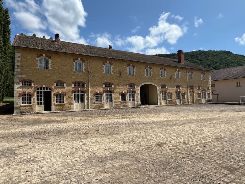 Magnifique Château sur 132 hectares (8)