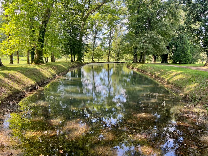 Magnifique Château sur 132 hectares (4)