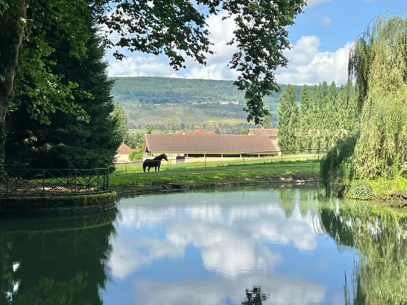 Magnifique Château sur 132 hectares (3)