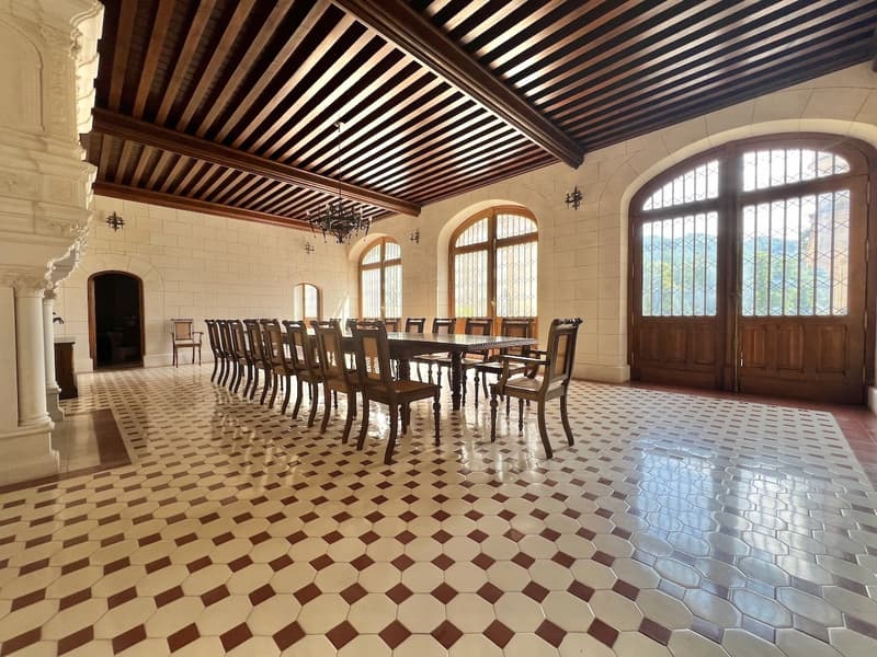 Magnifique Château sur 132 hectares (10)