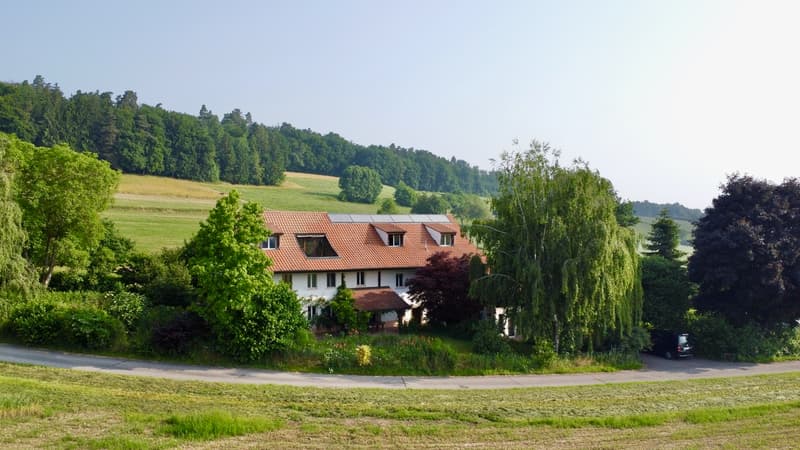 Ferme transformée en 2 spacieux appartements (8)