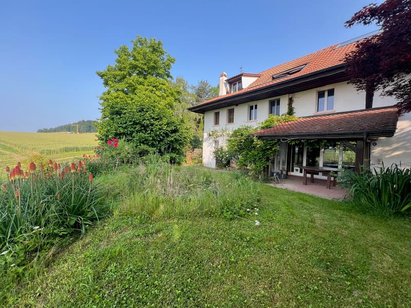 Ferme transformée en 2 spacieux appartements (2)