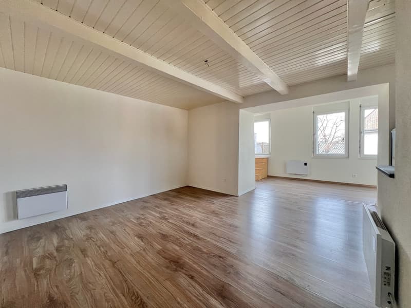 Appartement atypique grand 2,5 pièces avec grande terrasse (3)