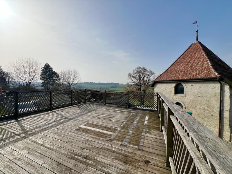 Appartement atypique grand 2,5 pièces avec grande terrasse (1)