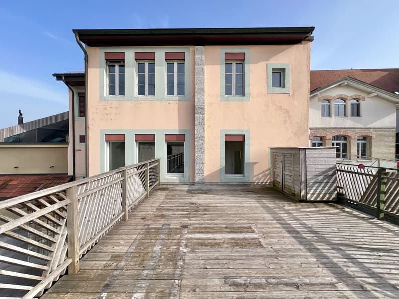 Appartement atypique grand 2,5 pièces avec grande terrasse (8)