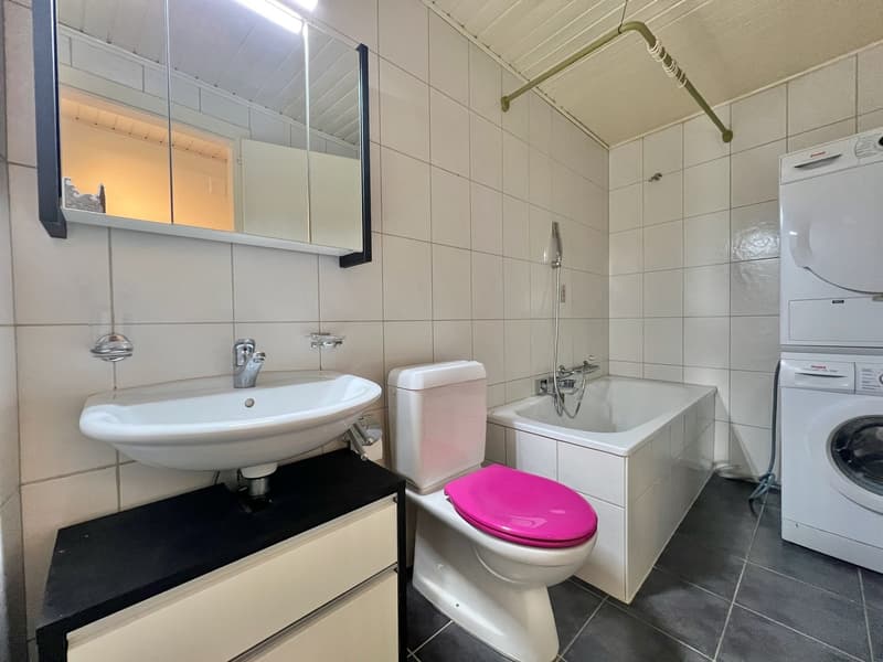 Appartement atypique grand 2,5 pièces avec grande terrasse (7)