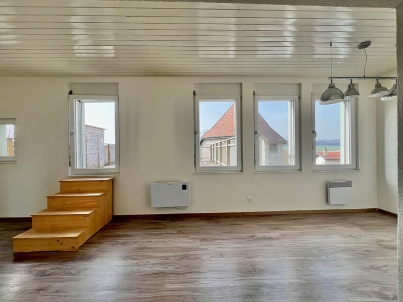 Appartement atypique grand 2,5 pièces avec grande terrasse (2)