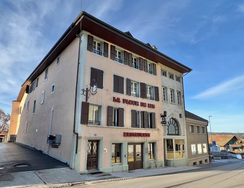 Appartement atypique grand 2,5 pièces avec grande terrasse (9)
