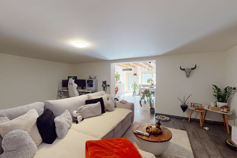 Magnifique ferme rénovée de 3 logements et d'une écurie (12)