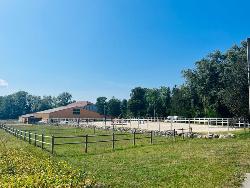 RARE- Propriété équestre de luxe sur la frontière genevoise (9)