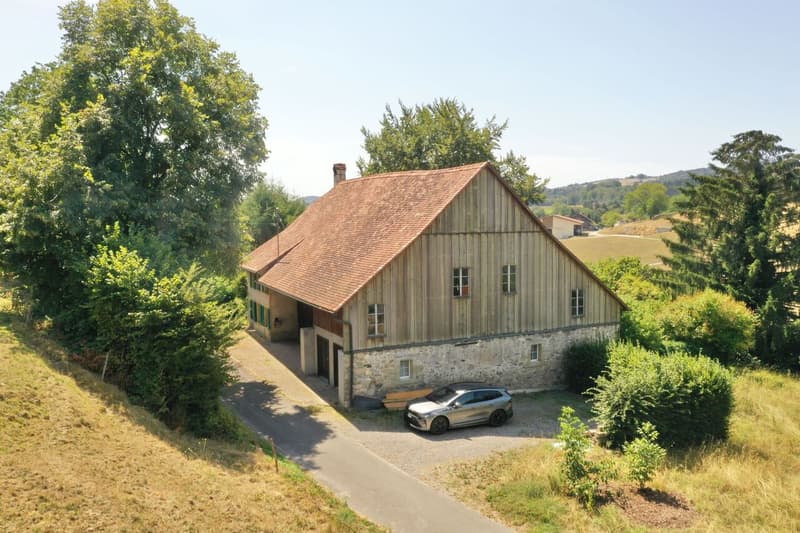 Ferme rénovée alliant authenticité et confort 4,5 pièces (1)