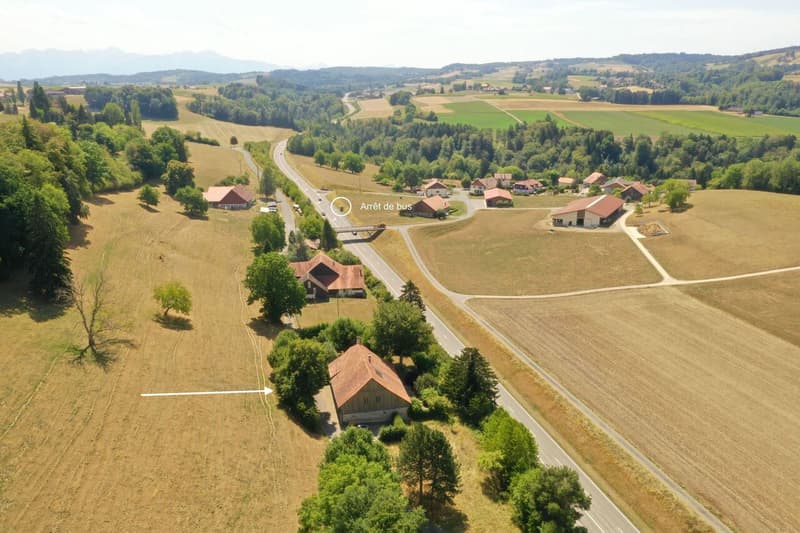 Ferme rénovée alliant authenticité et confort 4,5 pièces (2)