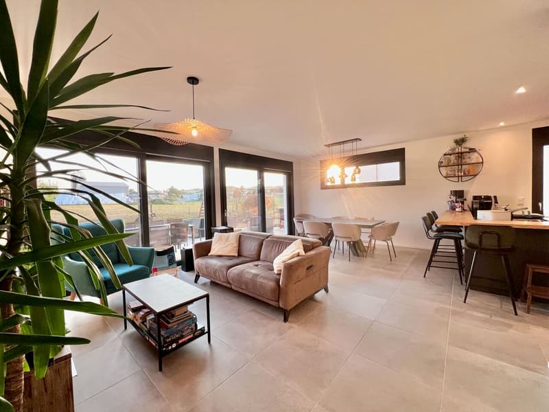 Magnifique villa individuelle familiale de 165 m2 avec jardin (3)