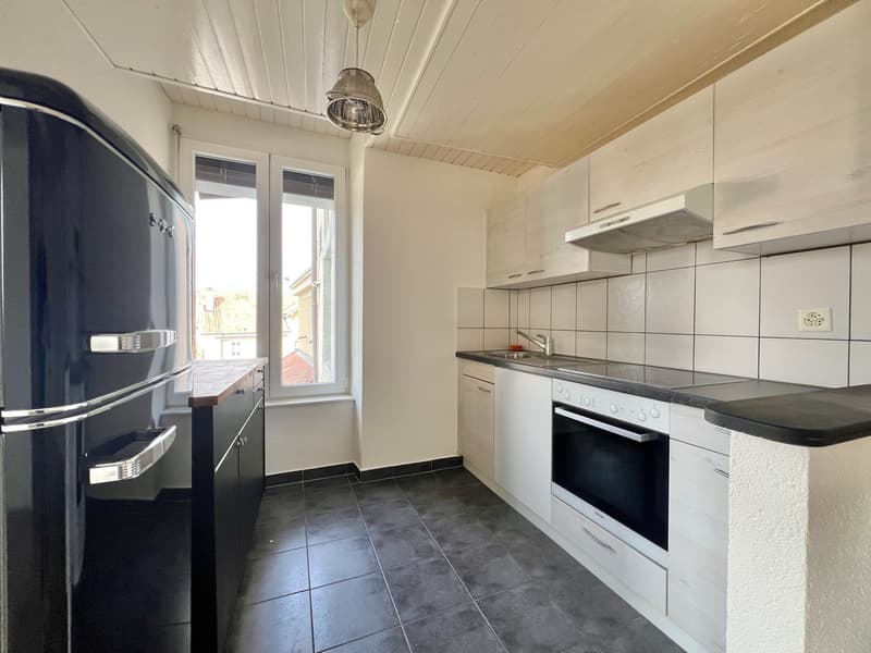 Appartement atypique grand 2,5 pièces avec grande terrasse (4)