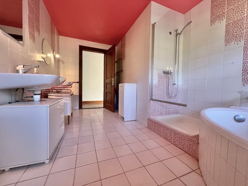 Ferme transformée en 2 spacieux appartements (6)