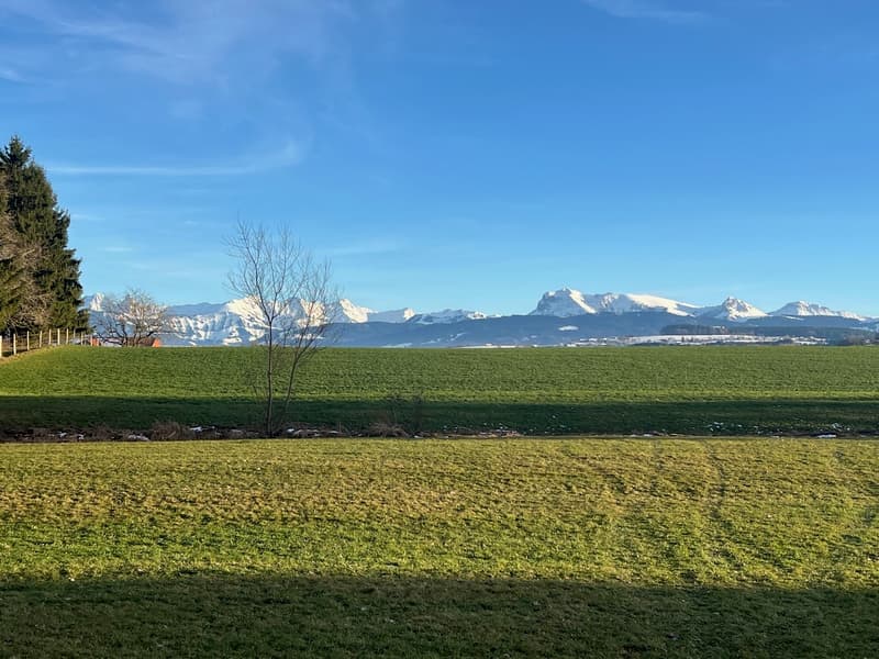Ferme équestre 4,5 pièces, écurie, paddock, parcs (9)