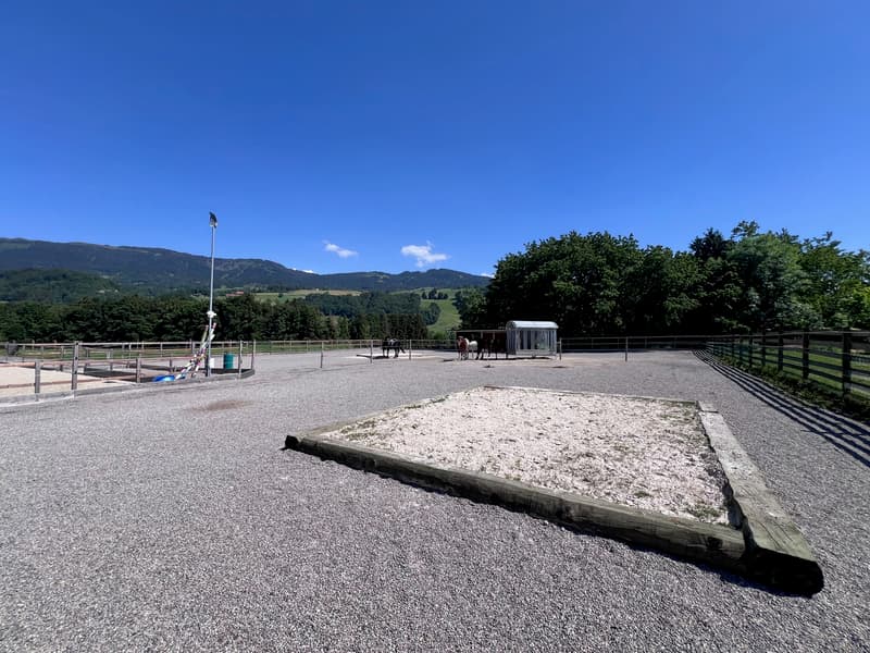 À vendre, Ferme, 1649 Pont-la-Ville, Réf 6270477 (9)