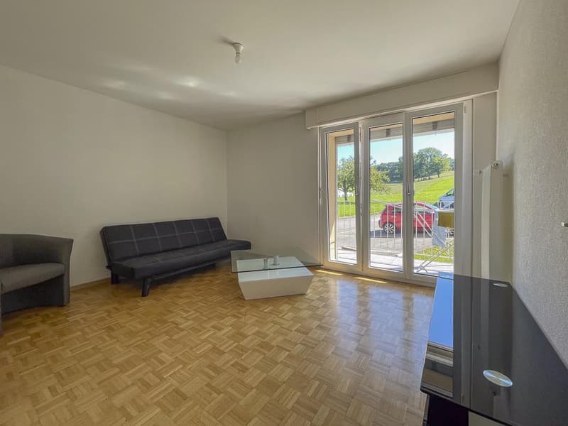 Appartement de 3.5 pièces rénové au calme (3)