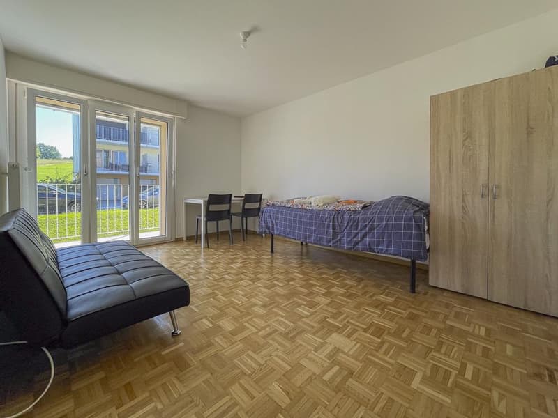 Appartement de 3.5 pièces rénové au calme (7)