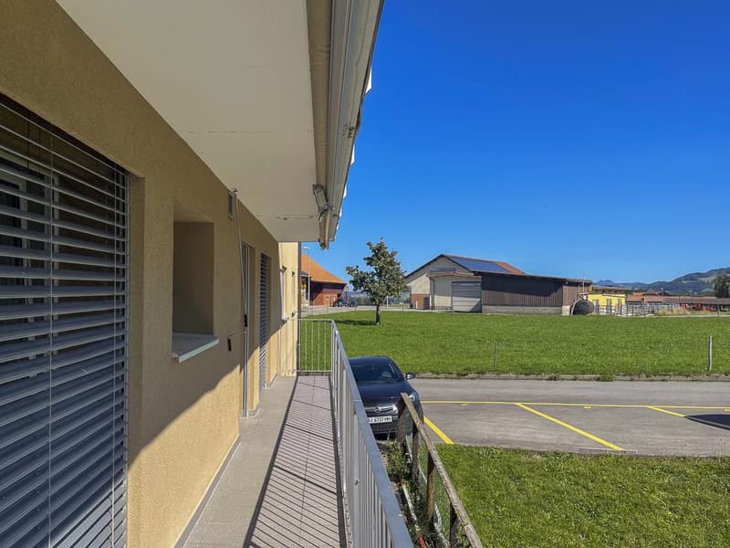 Appartement de 3.5 pièces rénové au calme (10)