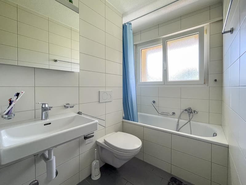 Appartement de 3.5 pièces rénové au calme (4)