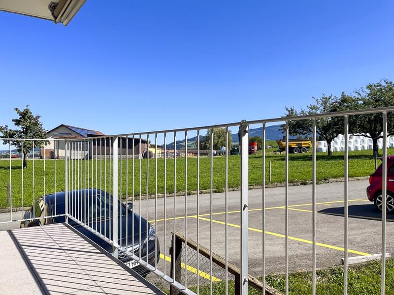 Appartement de 3.5 pièces rénové au calme (12)