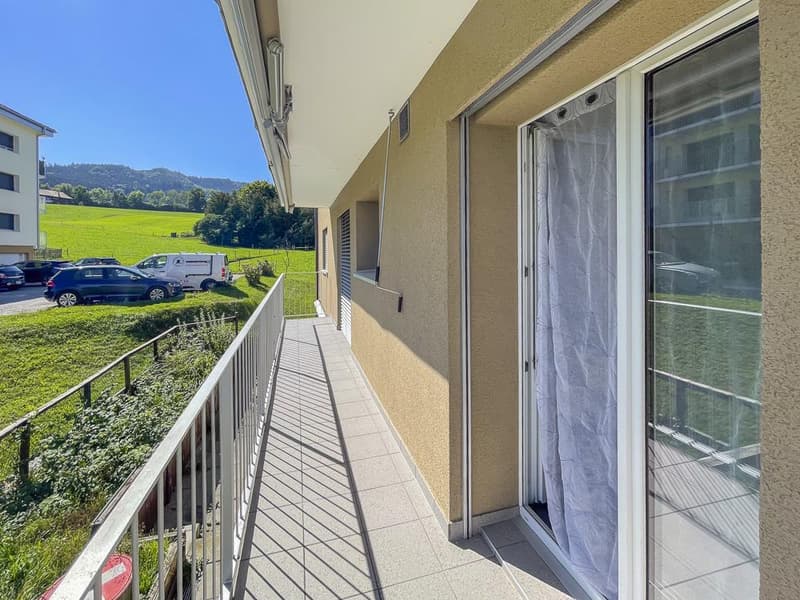 Appartement de 3.5 pièces rénové au calme (11)