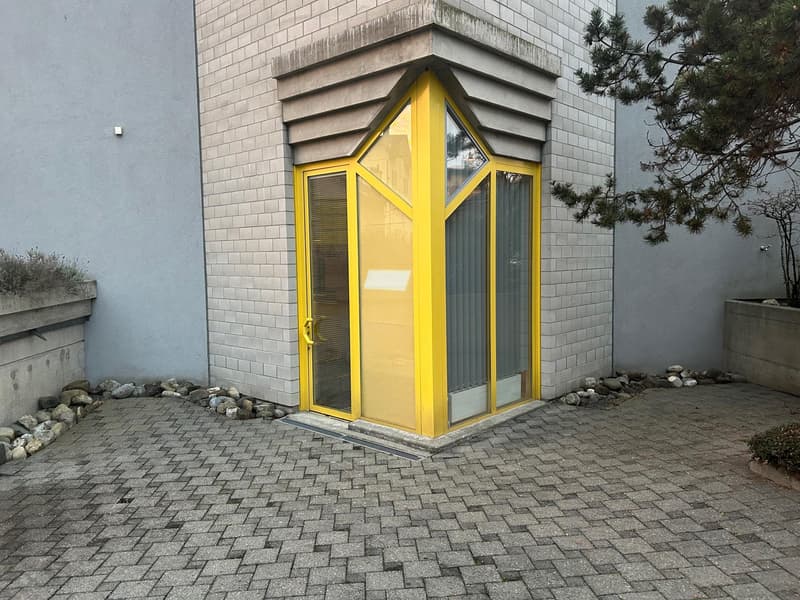 Chernex - Bureau / Espace bien-être / Salon esthétique - 20m2 (1)