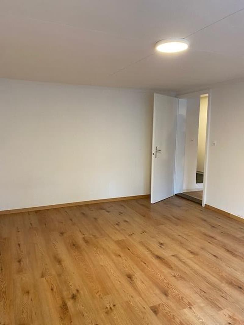 Appartement 2,5 pièces au 4ème étage (3)