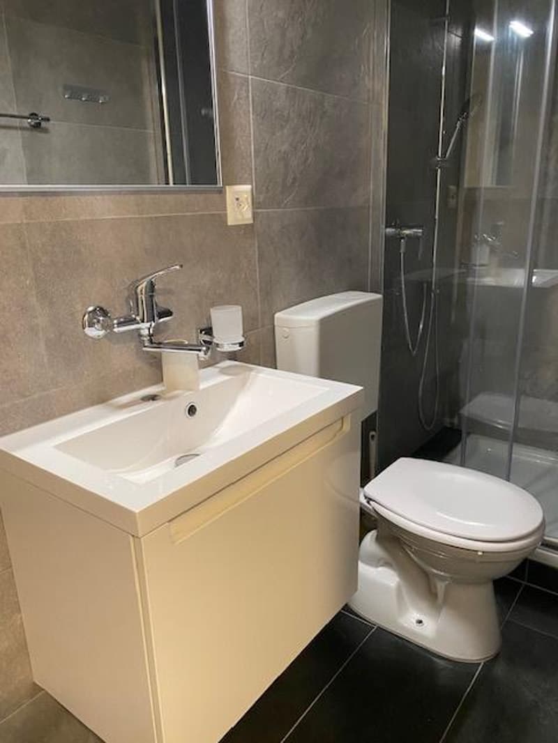 Appartement 2,5 pièces au 4ème étage (6)