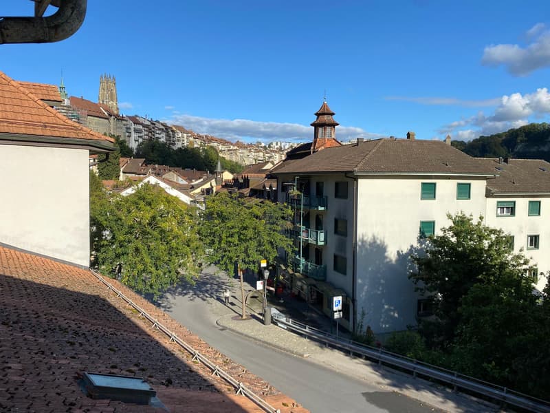 Appartement 2,5 pièces au 4ème étage (10)