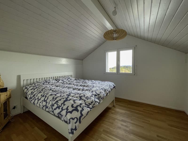 Bien rare avec deux espaces de vie - Villa de 3,5p et appartement de 2,5p - pour privée ou investisseur (6)