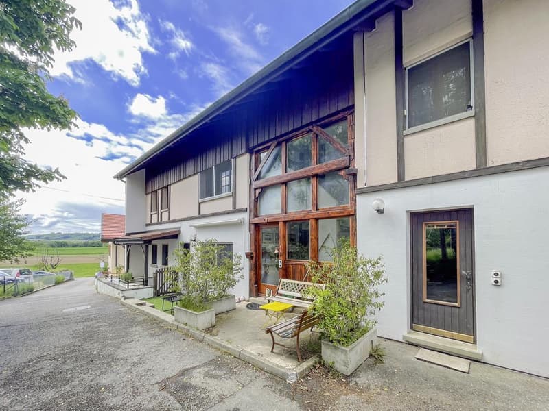 Maison de rendement avec 3 appartements et grand potentiel de dévelopement (3)