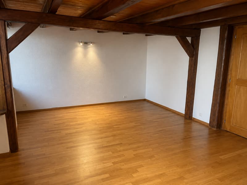Studio atypique de 33 m² à louer ? Le Mont-sur-Lausanne (1)