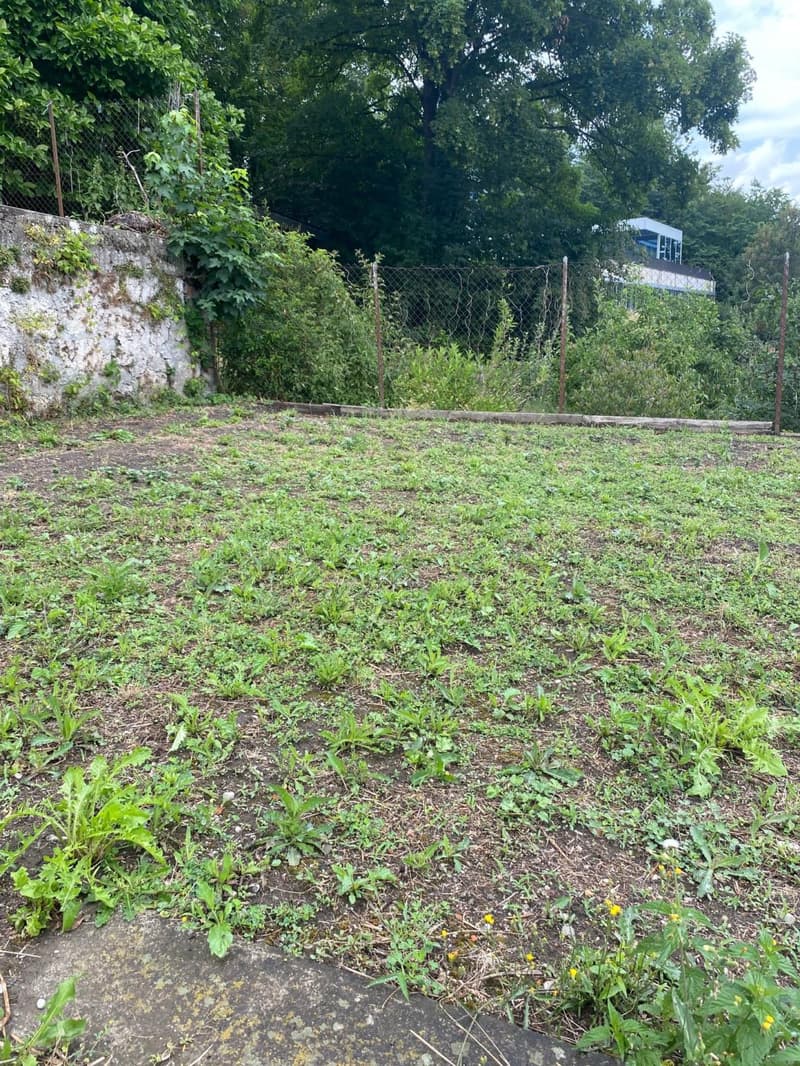 Plus que deux espaces disponibles! Découvrez un jardin, véritable havre de paix, en plein coeur de la ville de Fribourg ! (7)
