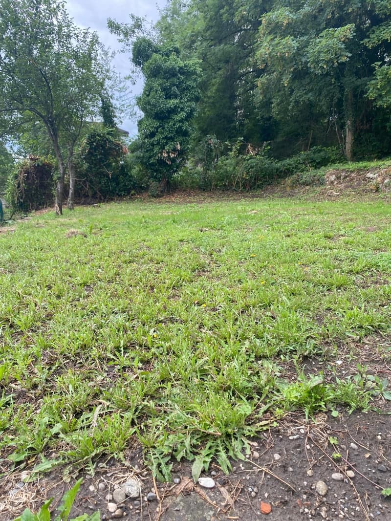 Plus que deux espaces disponibles! Découvrez un jardin, véritable havre de paix, en plein coeur de la ville de Fribourg ! (8)