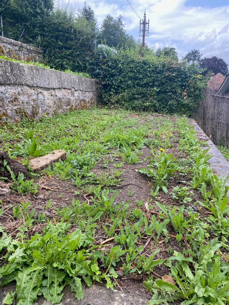 Plus que deux espaces disponibles! Découvrez un jardin, véritable havre de paix, en plein coeur de la ville de Fribourg ! (2)