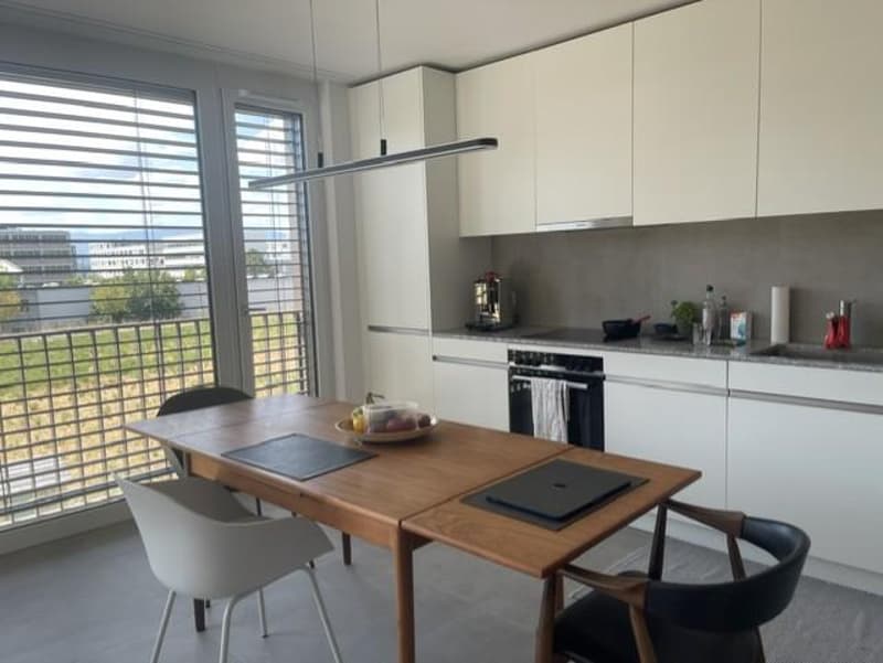 Appartement lumineux de 3,5 pièces avec grand balcon (1)