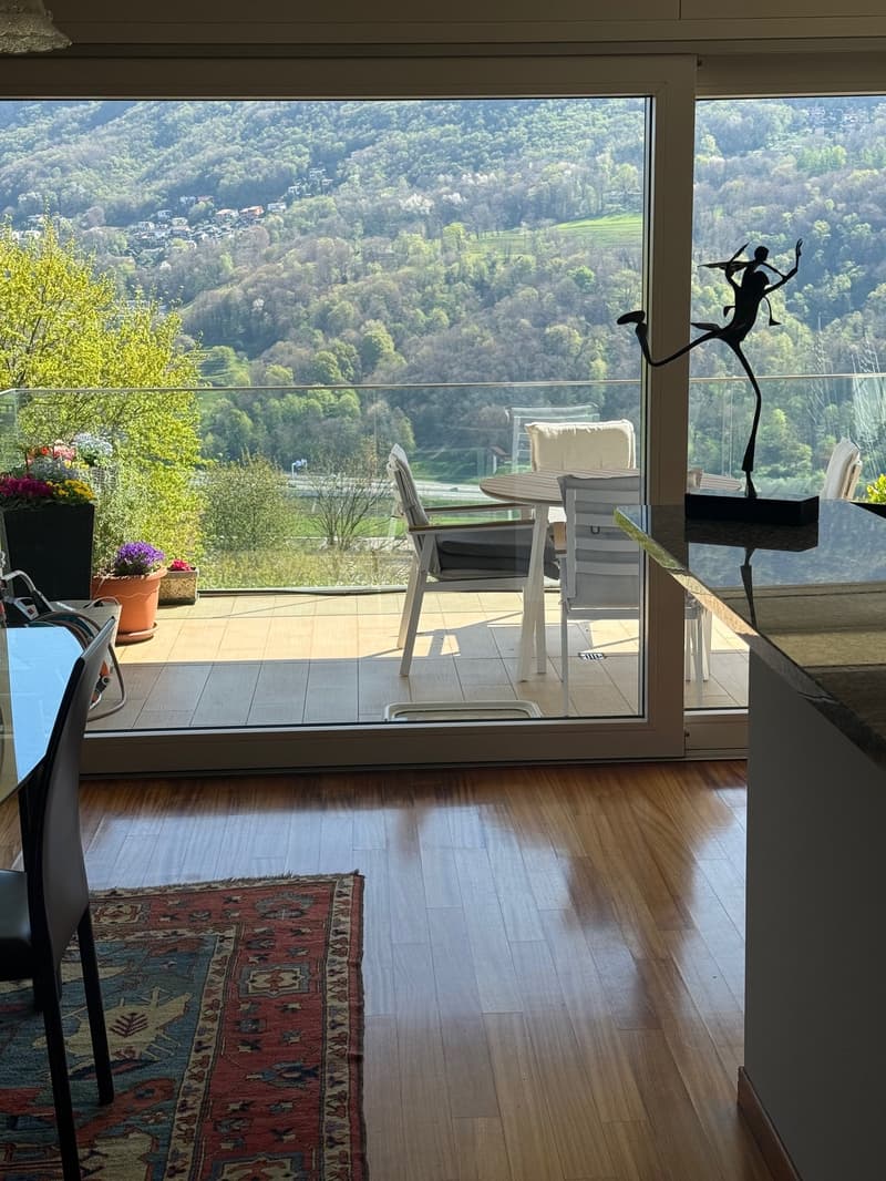 Montagnola, duplex con vista panoramica (3)
